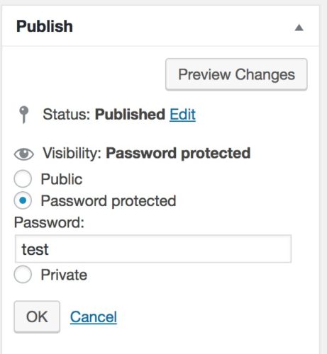 Create a password protected page in WordPress