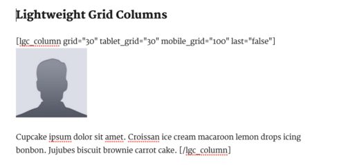 Lightweight Grid Columns WordPress plugin - shortcodes