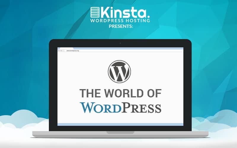 wordpress-infographic-the-world-of-wordpress-2018