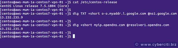 AWS EC2 or Lighsail find and note down your NAT IP address