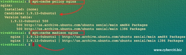 Fig.01: apt-cache check package version on Debian/Ubuntu Linux