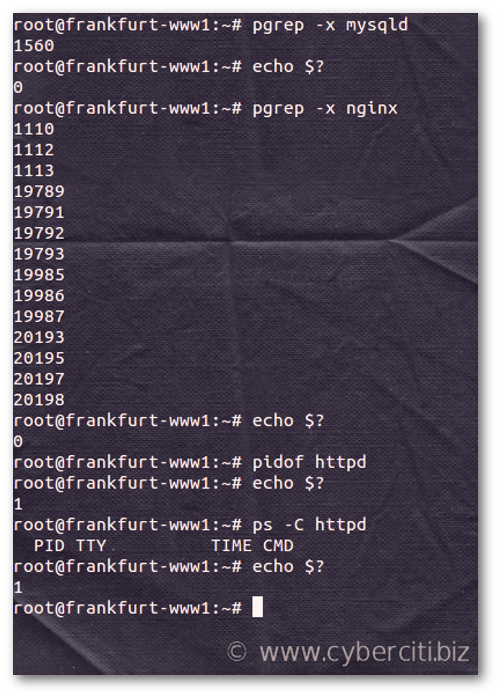 Bash check if process is running with exit status