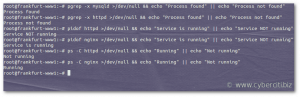 How to check if process is running in linux bash shell