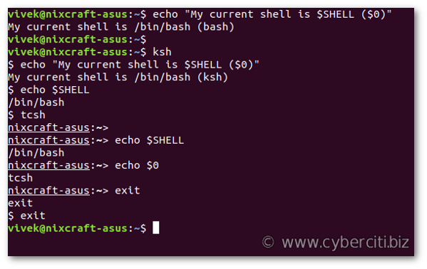 Find out what shell I am using on Linux or Unix