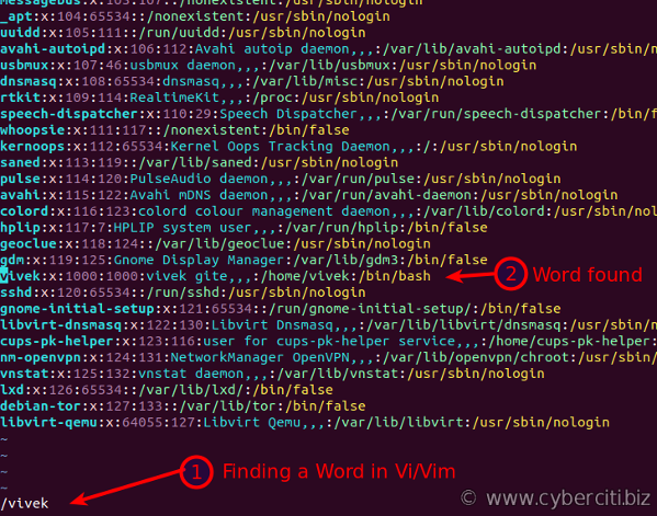 Linux Unix macOS find a Word in Vim or vi text editor