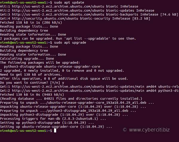 Update Ubuntu Linux 18.04 LTS server package index