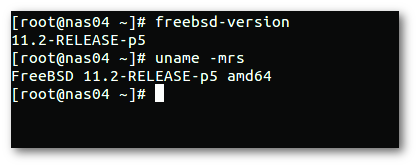 FreeBSD version and patch level