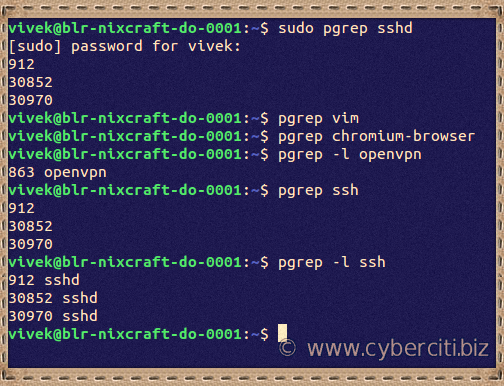 Given a search term, Ubuntu Linux pgrep command shows the process IDs that match it