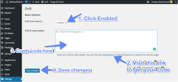 Drift WordPress settings