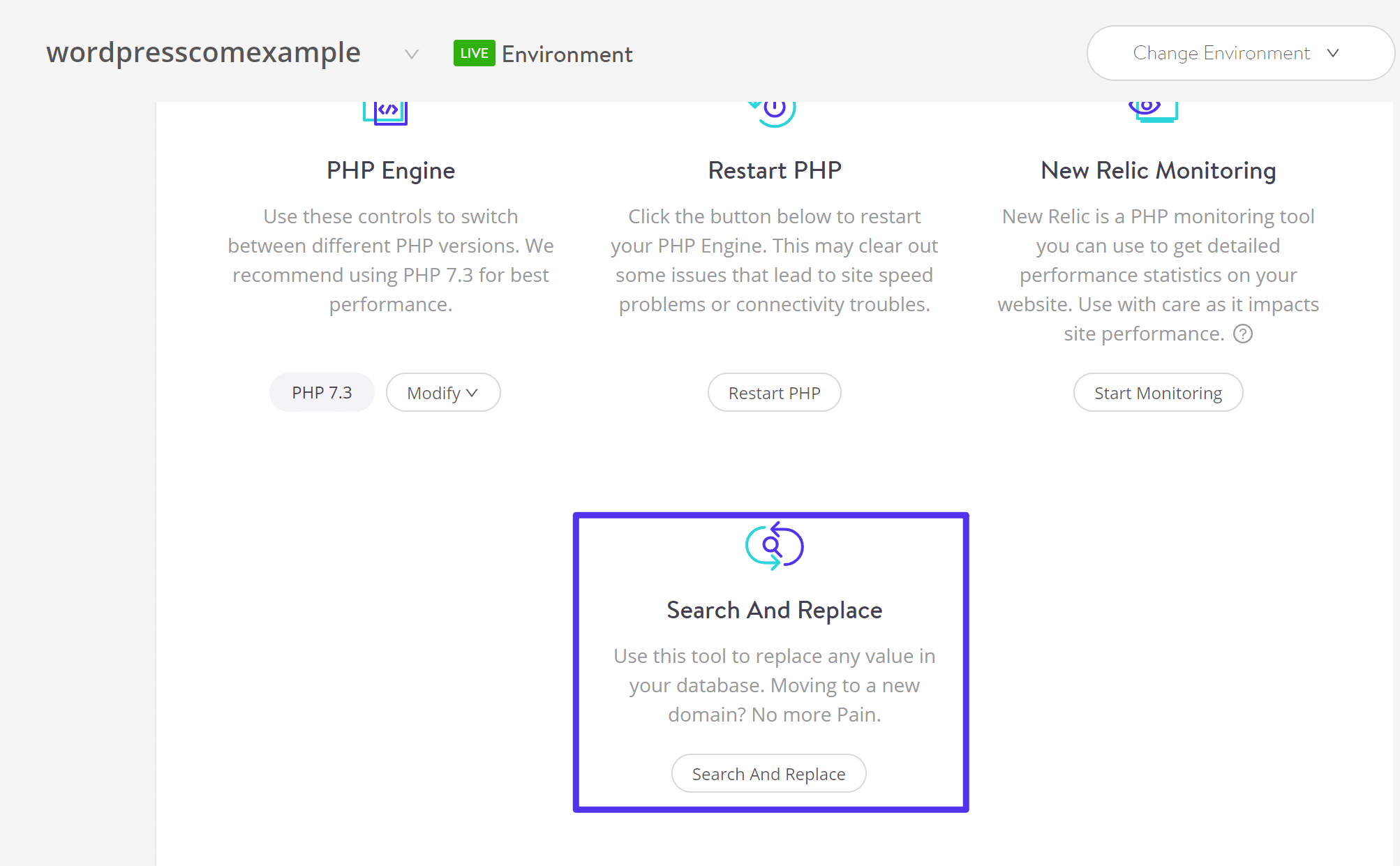 Kinsta Search And Replace tool