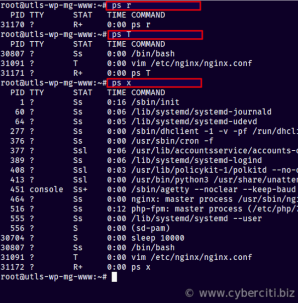 Linux background processes command