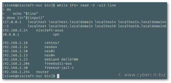 Bash Read a File Line By Line demo