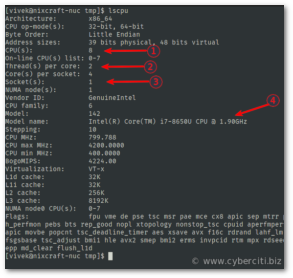 Linux determine number of CPUs using lscpu command