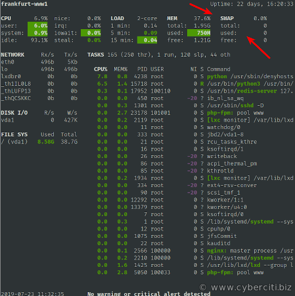 Linux Check Swap Usage Size Using glances command