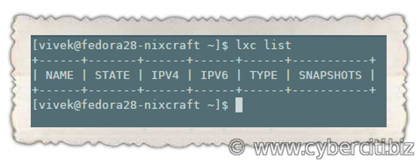 Fedora Linux LXD lxc list command outputs