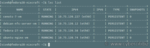 lxc list command outputs on Fedora Linux LXD server