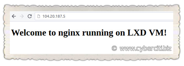FirewallD forwarding Incoming Connections to the Nginx Container VM