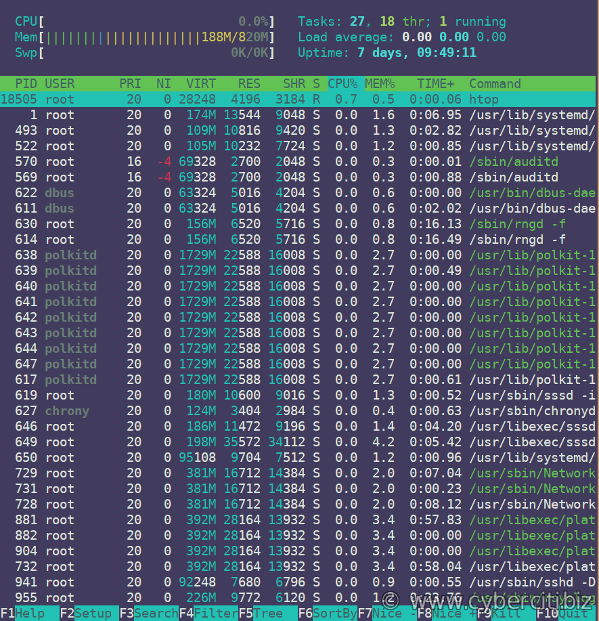 Running htop on RHEL 8 Linux server
