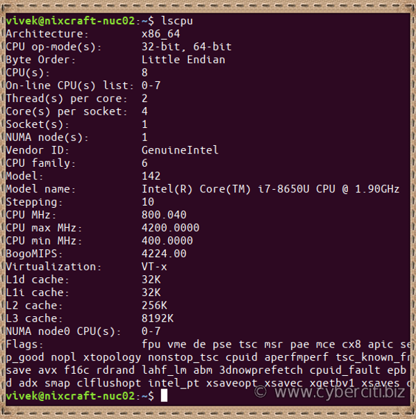 Linux 64 bit cpu find command