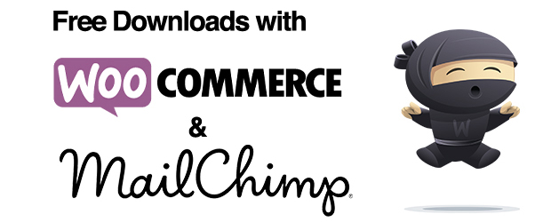 how-to-set-up-a-free-download-with-email-capture-in-your-woocommerce-shop