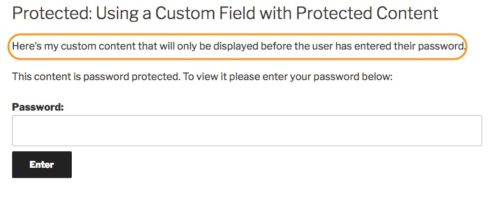 custom content on password protected post