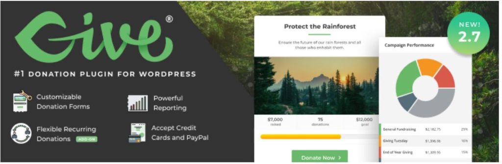 how-to-accept-donations-on-your-wordpress-site