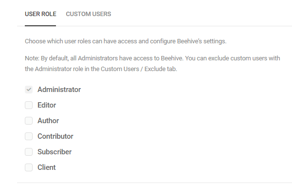 Screenshot of the user roles to which you can grant access to Beehive's settings.