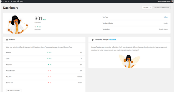 Screenshot of an overview of Beehive's dashboard.