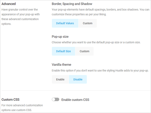 Hustle Advanced Options and Custom CSS.
