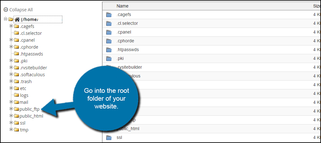 Website Root Folder