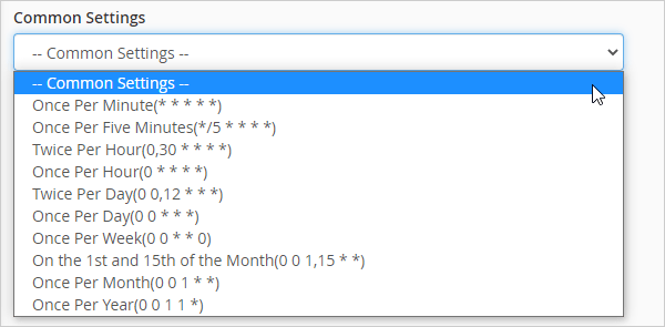 Cron - Common Settings menu.