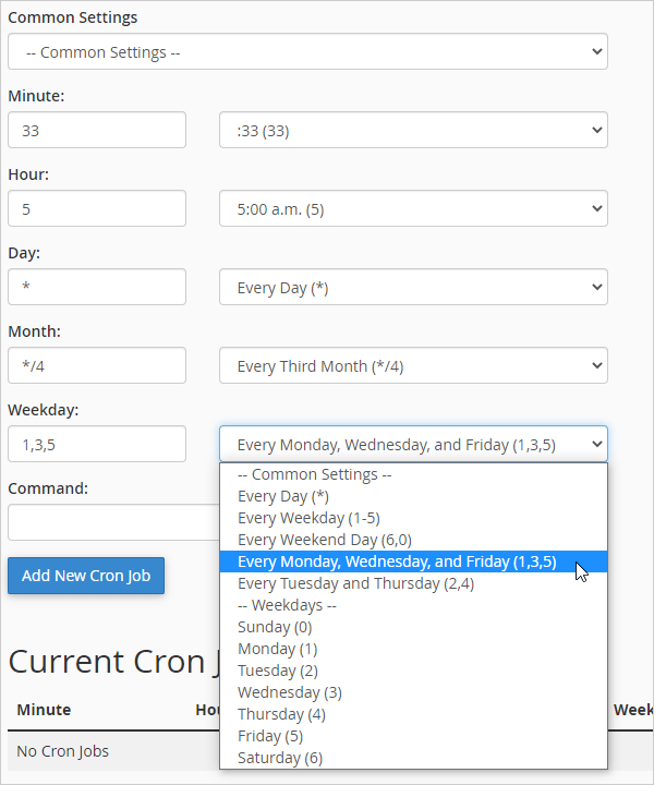 Cron Job schedule with adjusted settings.