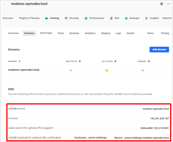 Temporary domain and DNS settings