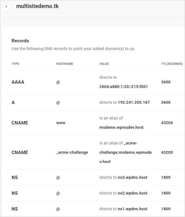 WPMU DEV DNS Manager screen