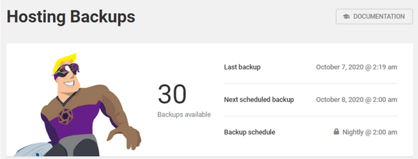 Screenshot of the hosting dashboard showing 30 backups available.