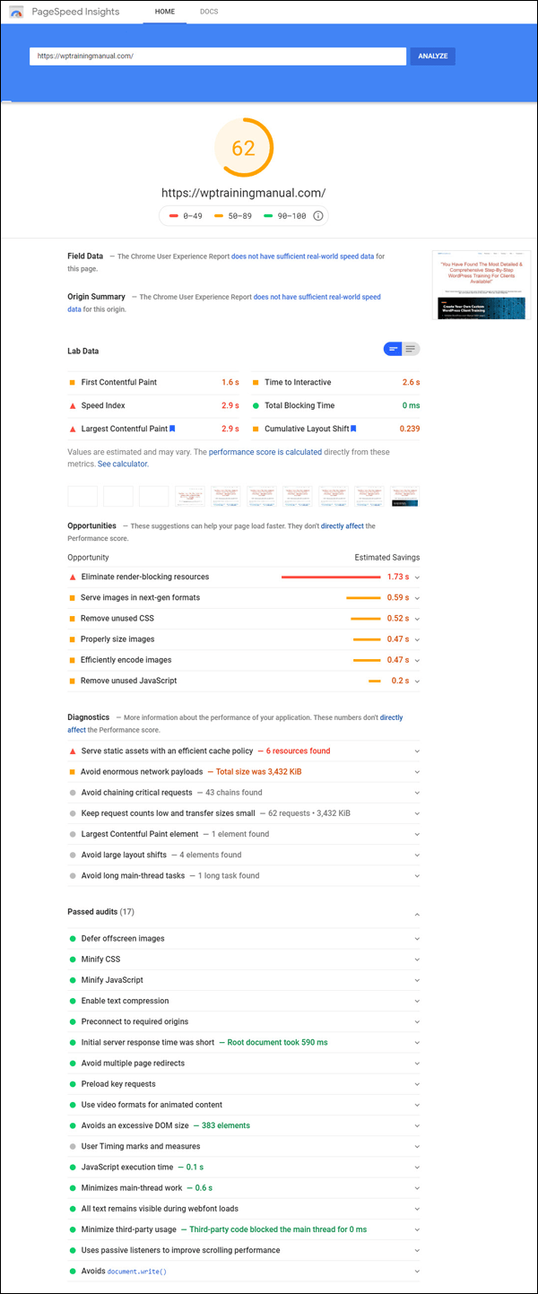 Google Page Speed Insights Results