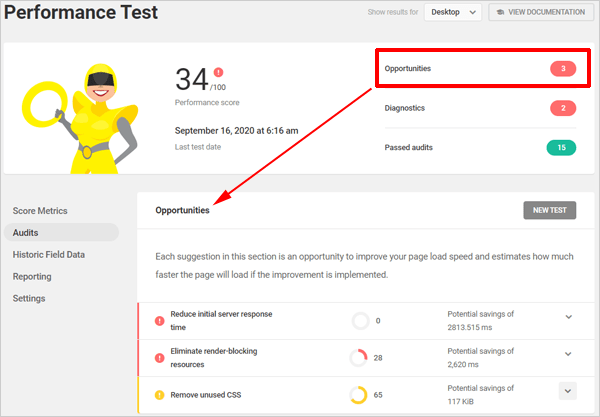 Hummingbird Audits - Opportunities