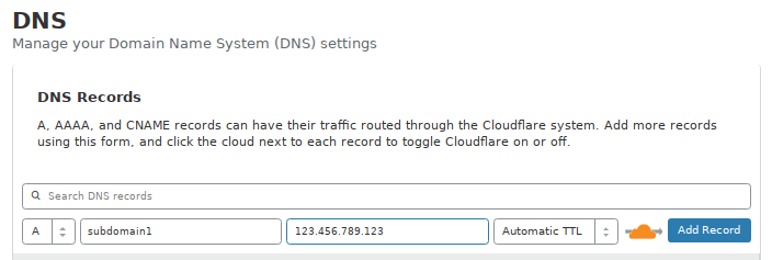 An example Cloudflare Subdomain A Record setup