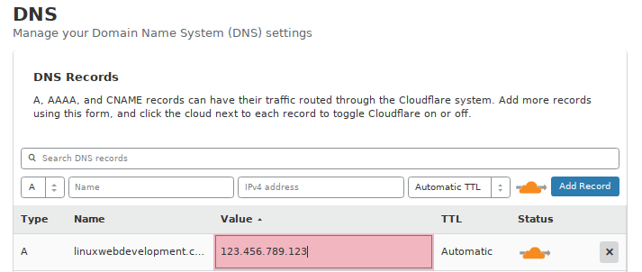 Editing a Cloudflare DNS record.