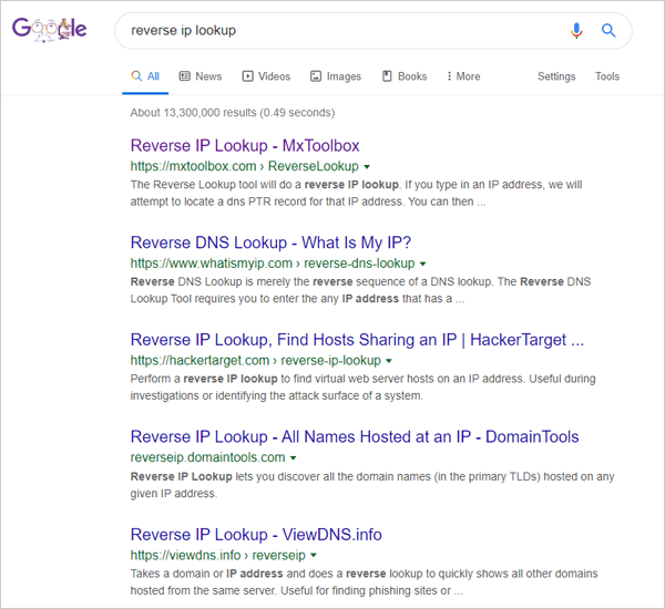 Screenshot of reverse IP lookup search results on Google.