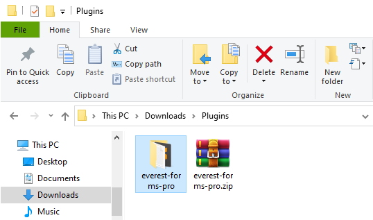 everest forms pro folder