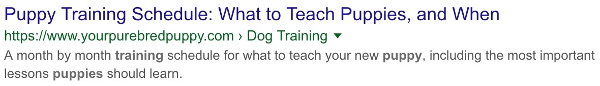 puppy training example meta description right length