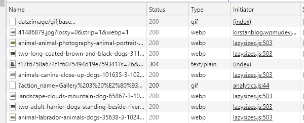 Screenshot of the developer tools tab showing proof of the images being webp.