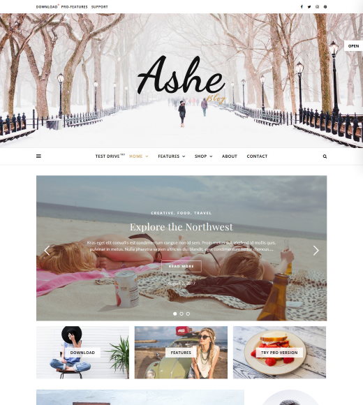 Ashe best free responsive theme