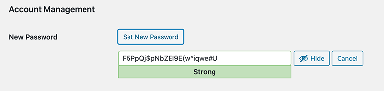 The strong password that WordPress generates.
