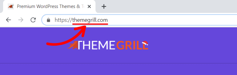 Domain Name Example ThemeGrill