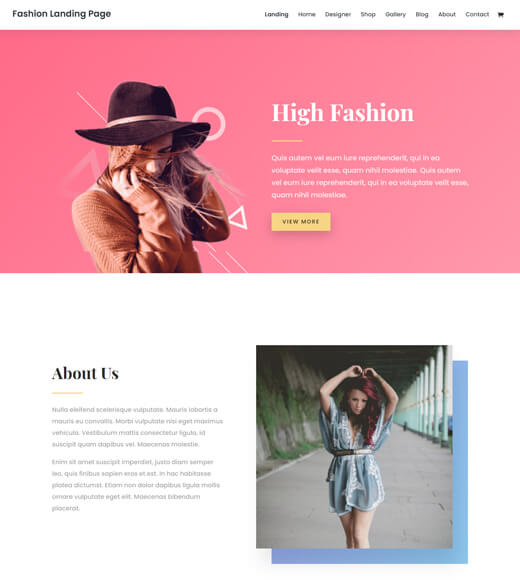 divi best woocommerce theme with elementor