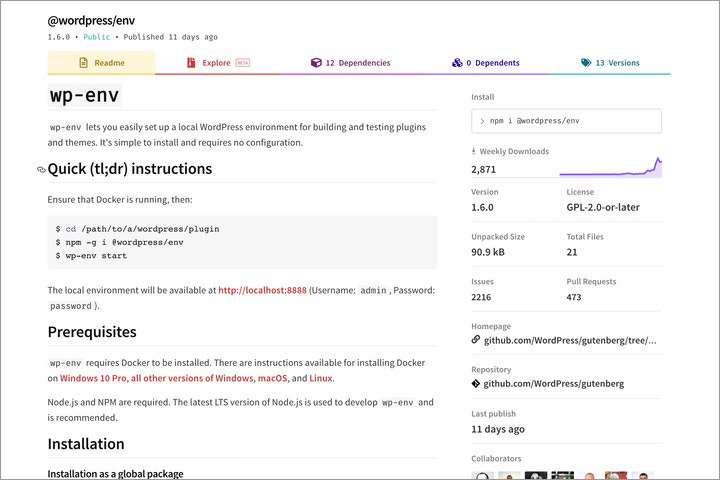 wp-env repository in NPM