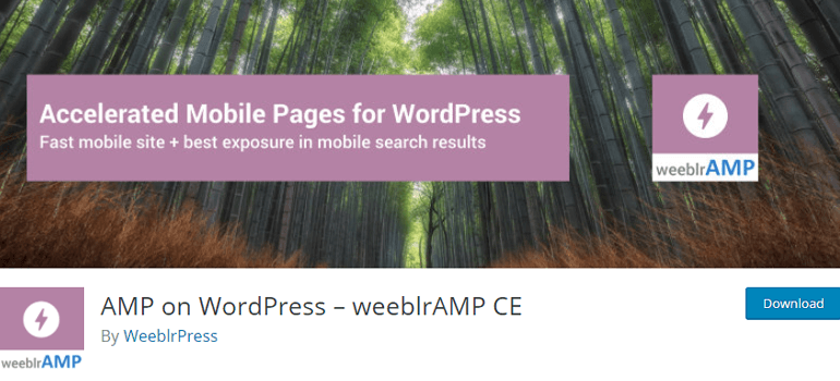 AMP on WordPress