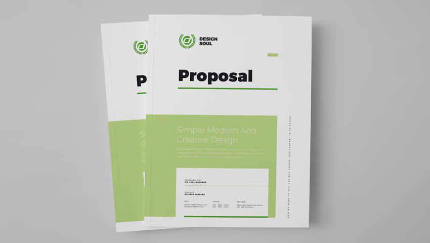 Professional InDesign Proposal Template